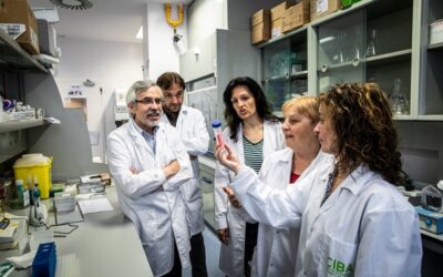 Primeros resultados sobre una nueva investigación
